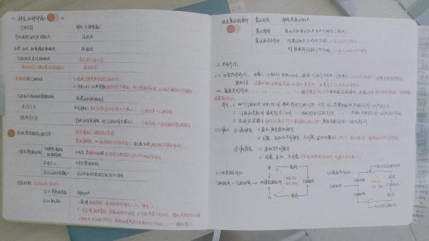 经验贴图片