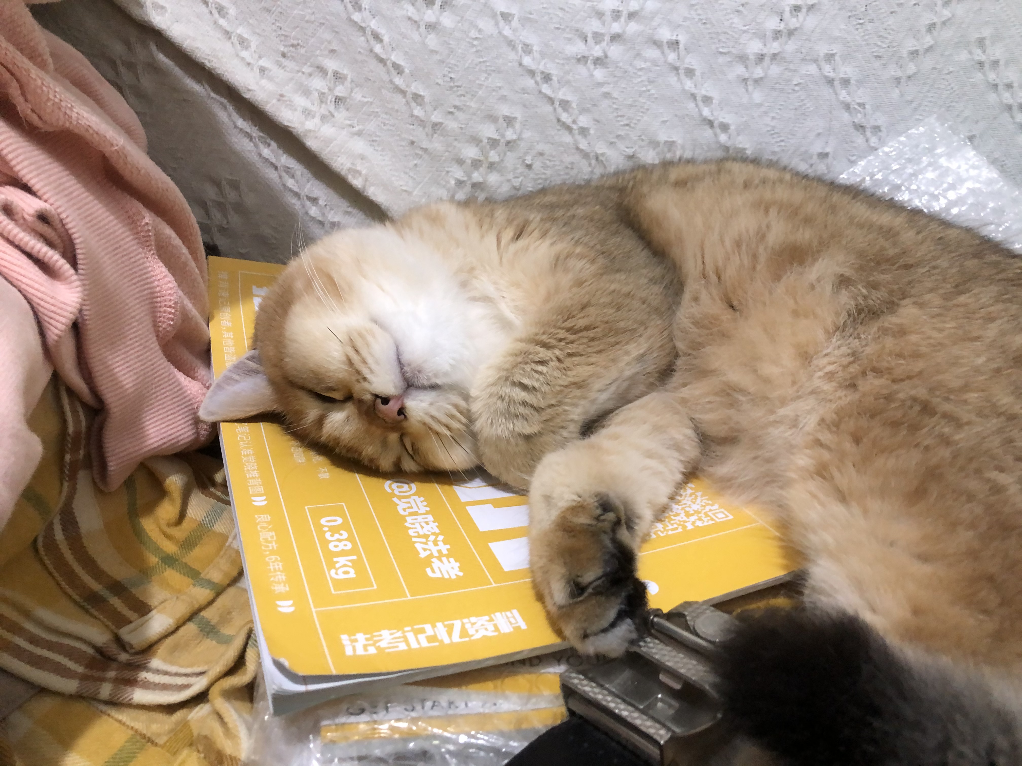 经验贴图片