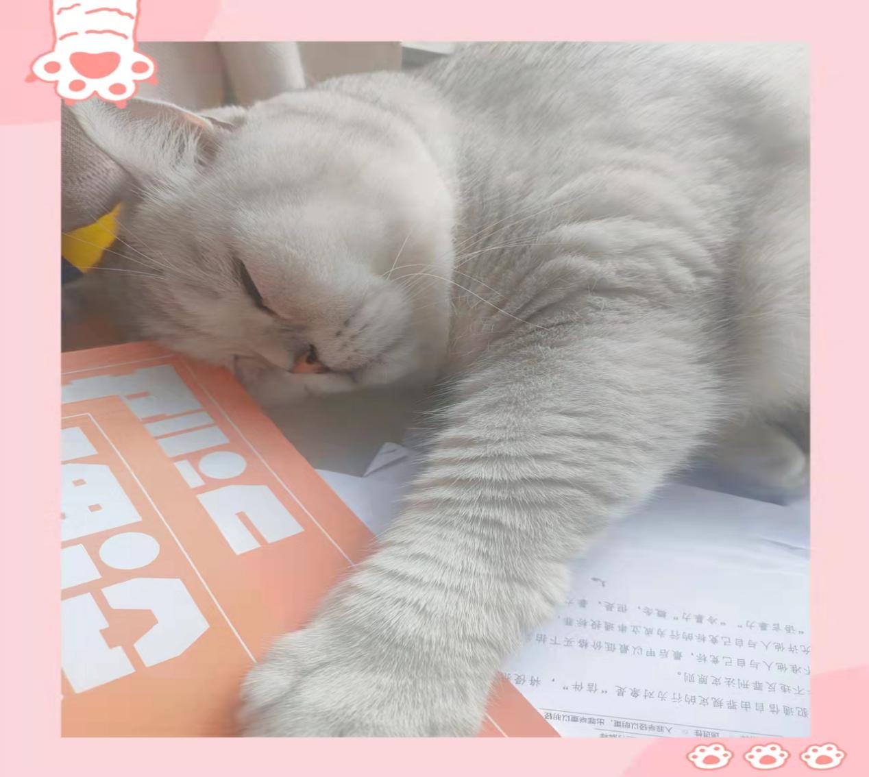 经验贴图片