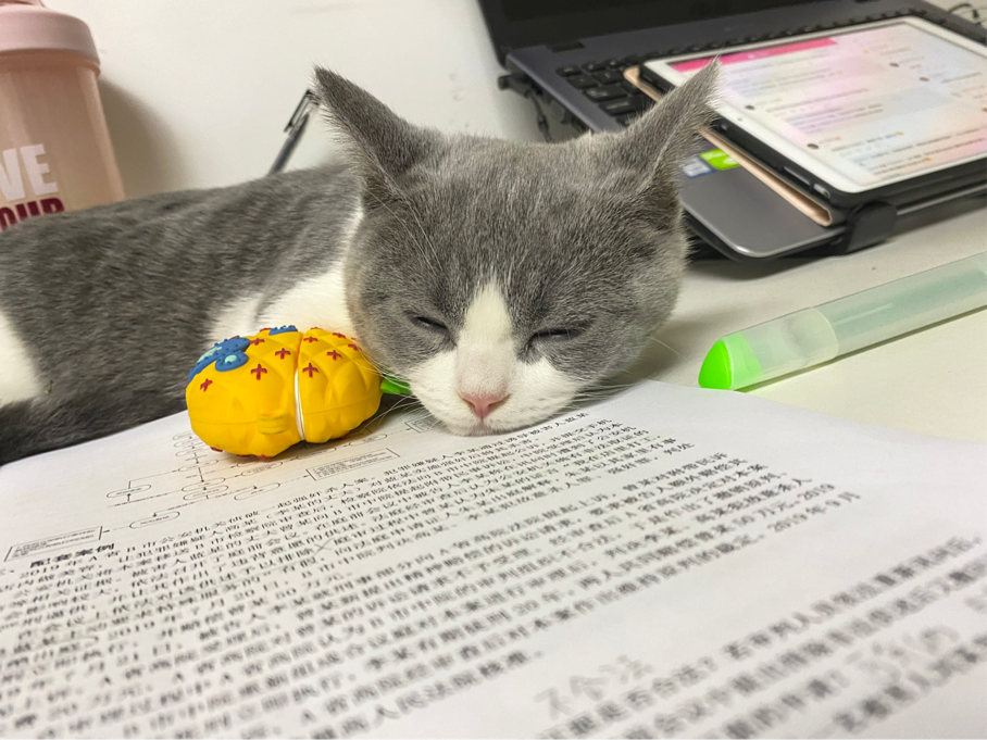 经验贴图片