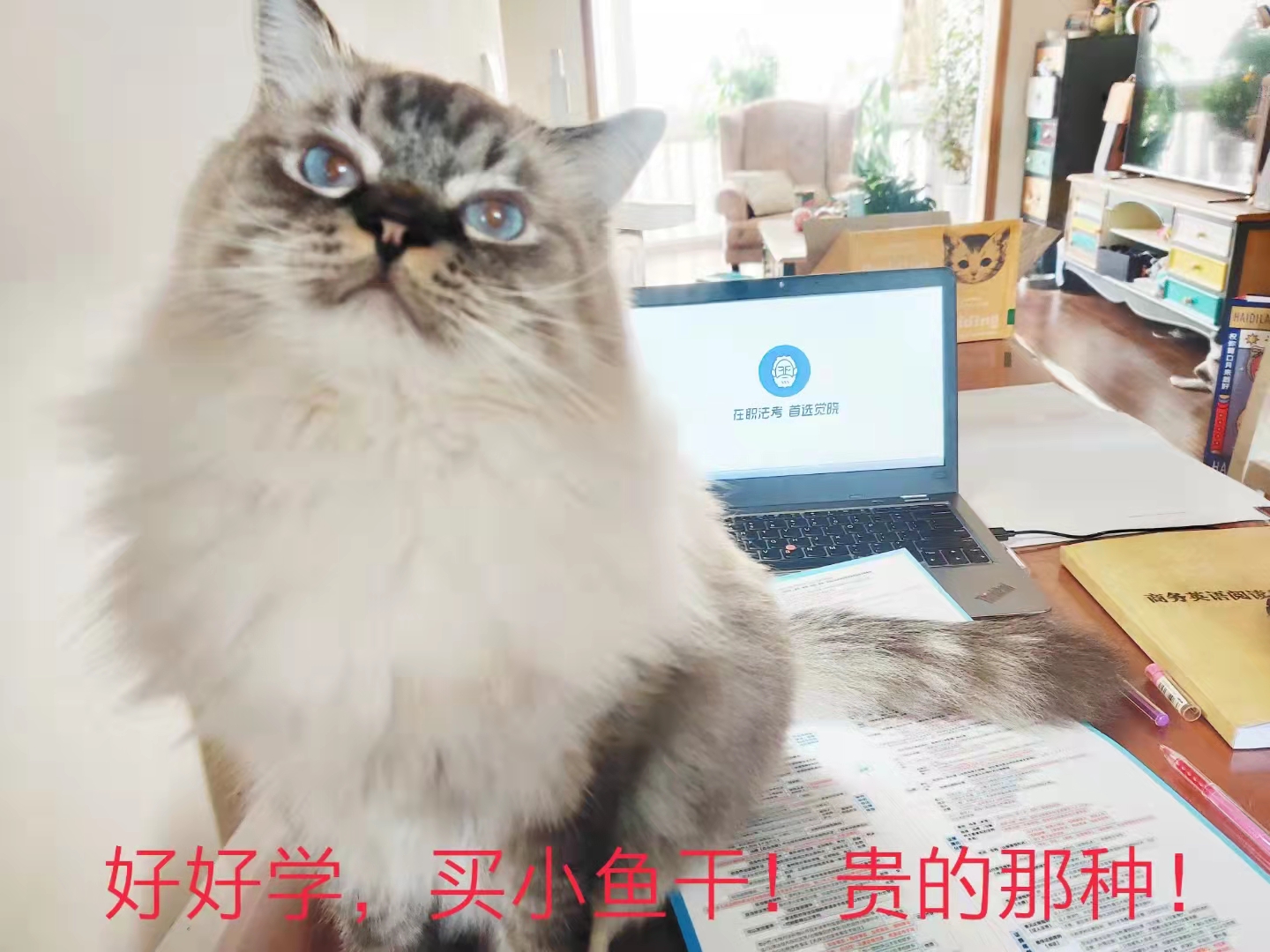 经验贴图片