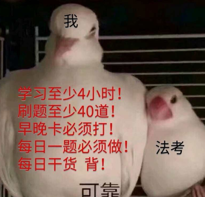 经验贴图片
