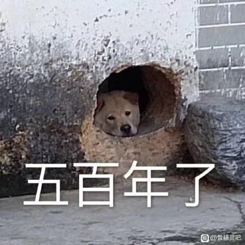经验贴图片