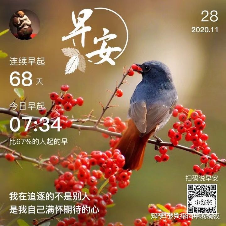 经验贴图片
