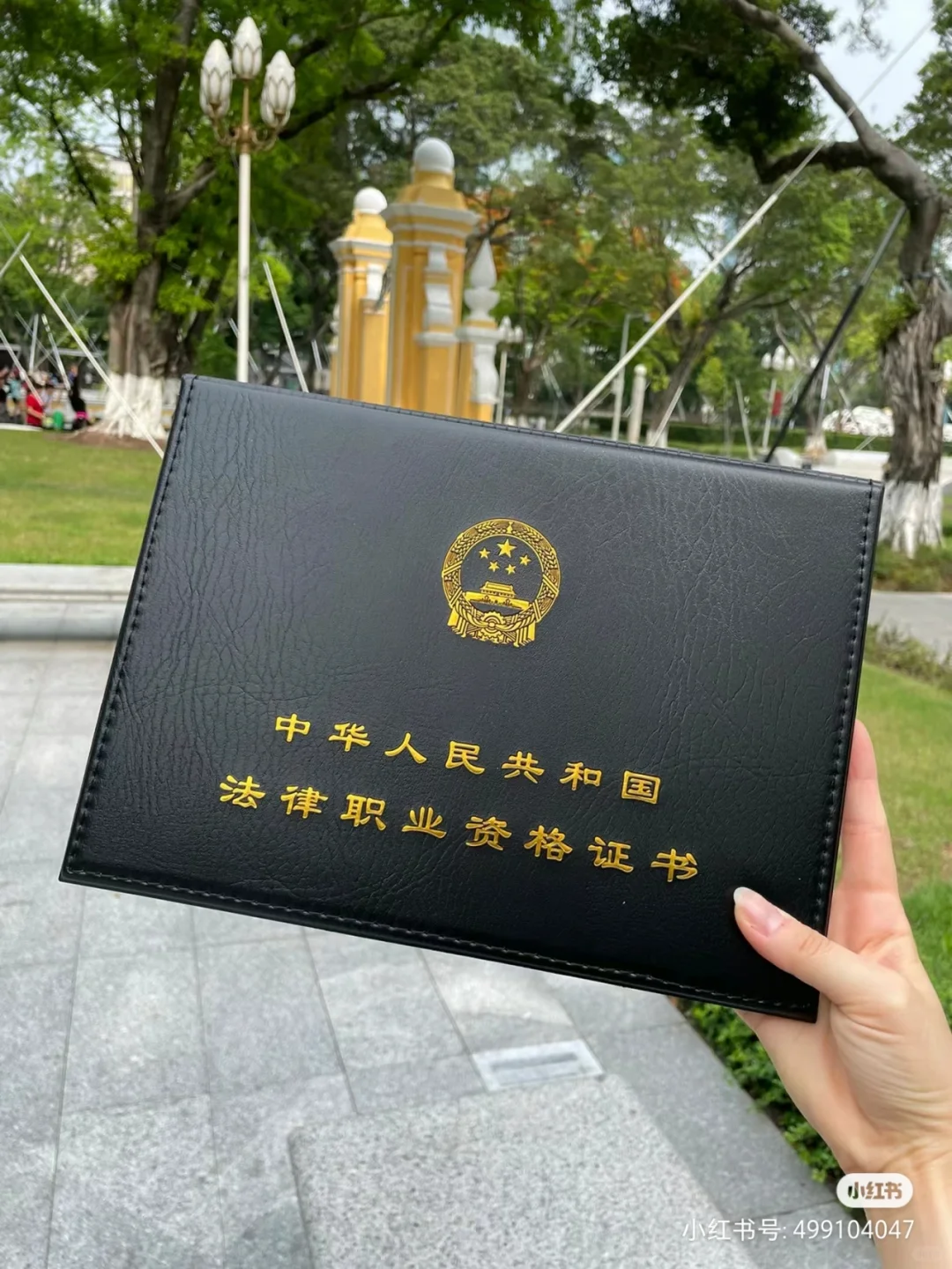 经验贴图片