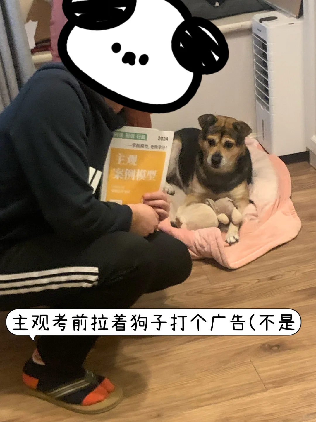 经验贴图片
