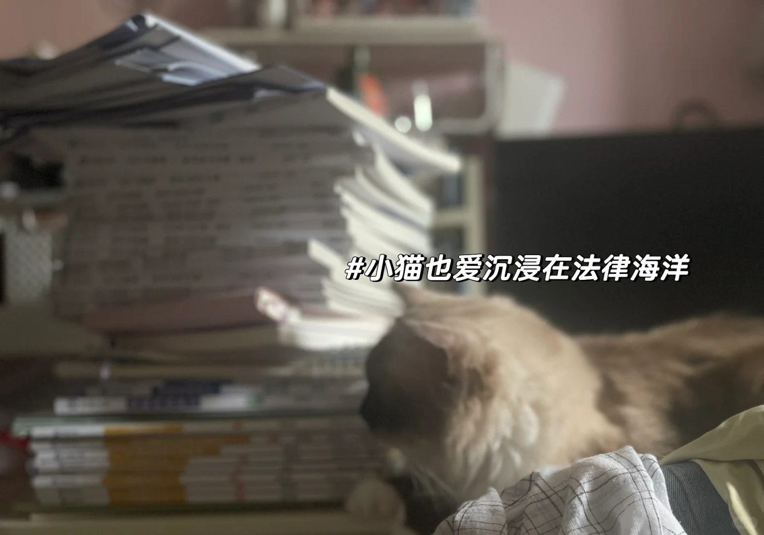 经验贴图片