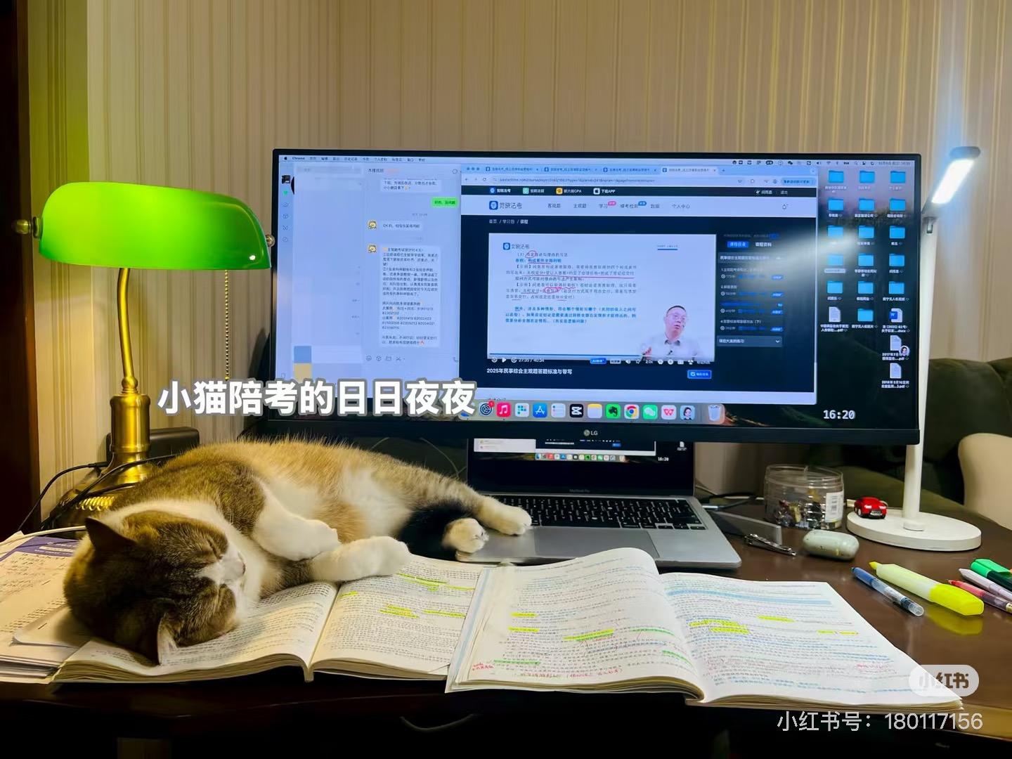 经验贴图片